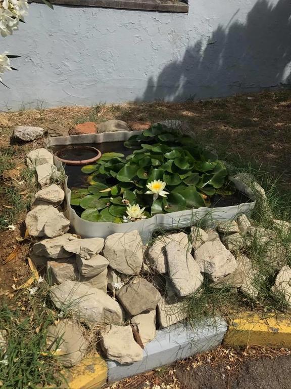 Hotel Ebe San Piero a Sieve Dış mekan fotoğraf